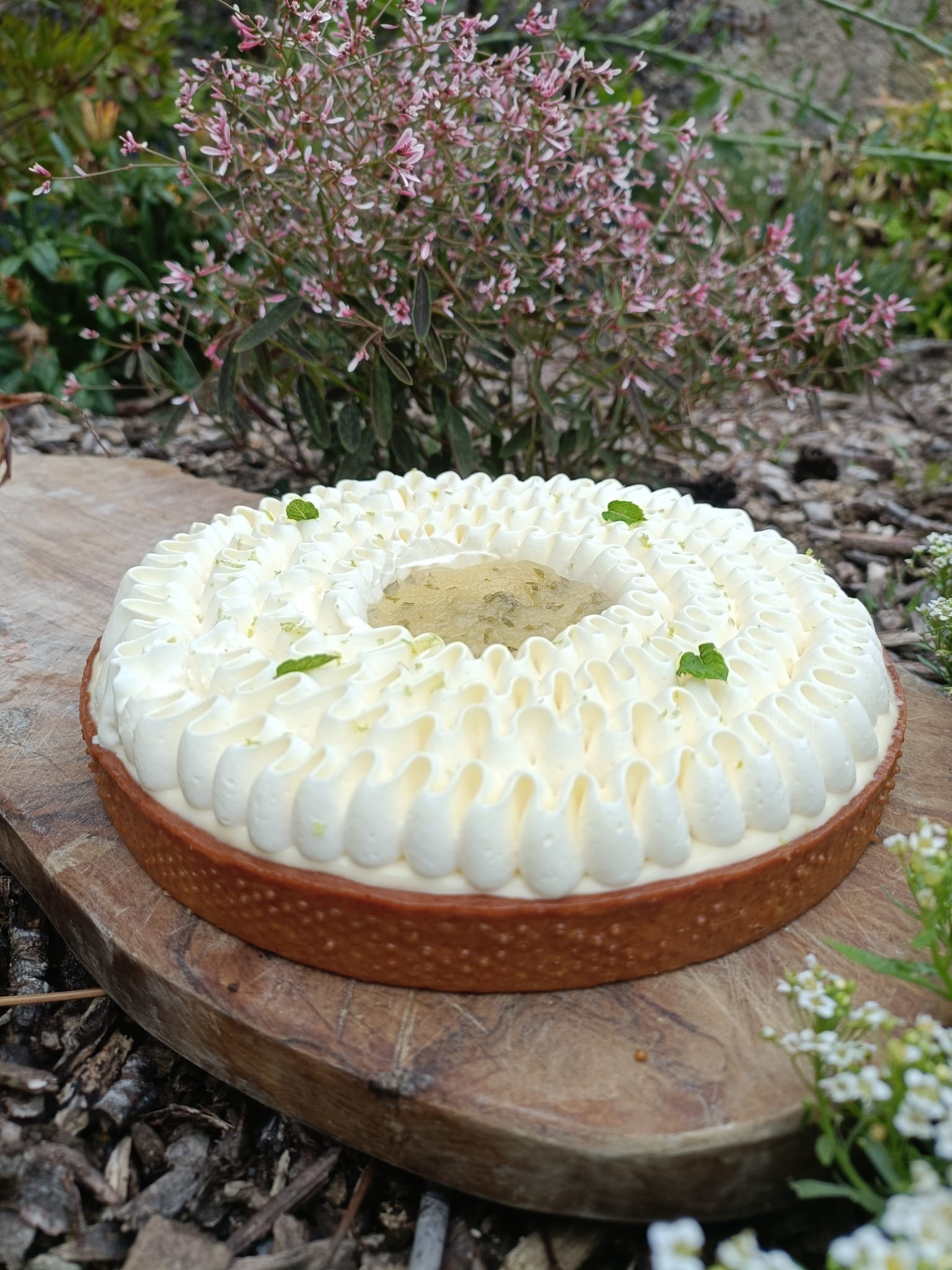 Tarte mojito